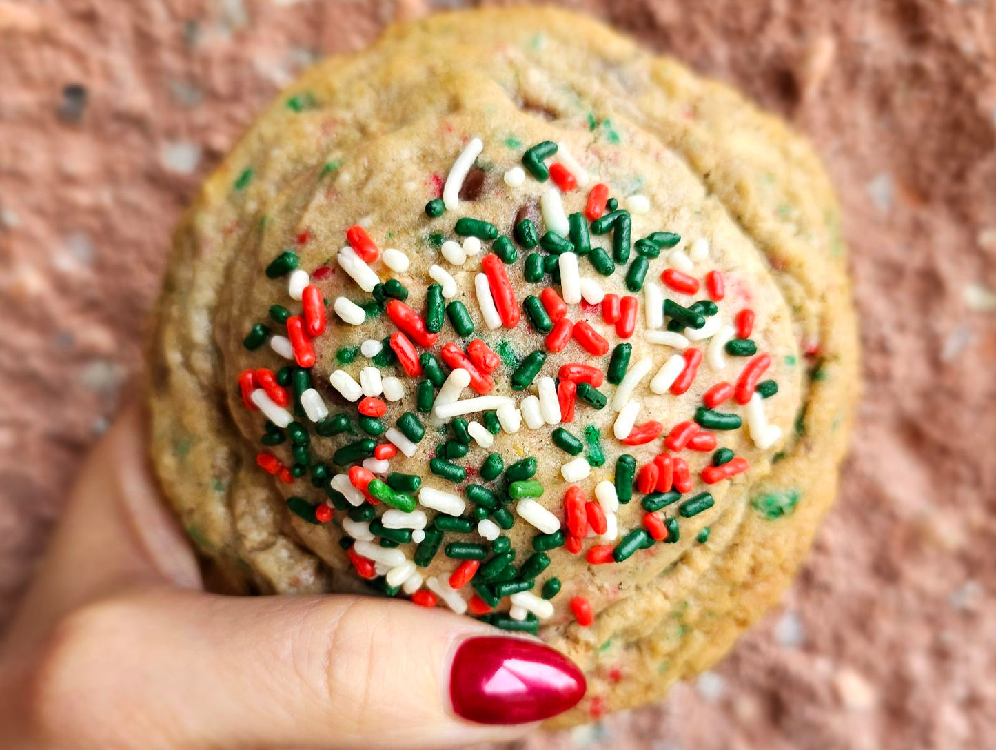 Reindeer Food - Oatmeal Chocolate Chip