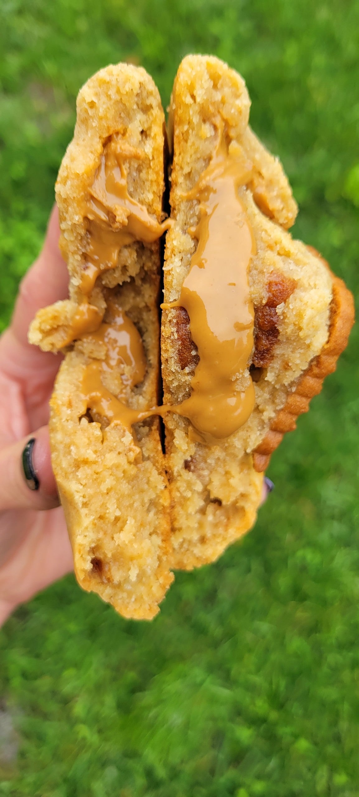 Stuffed 5 Cookie Bundle