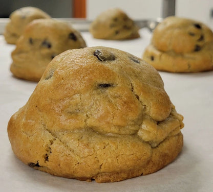GLUTEN FRIENDLY Chocolate Chip
