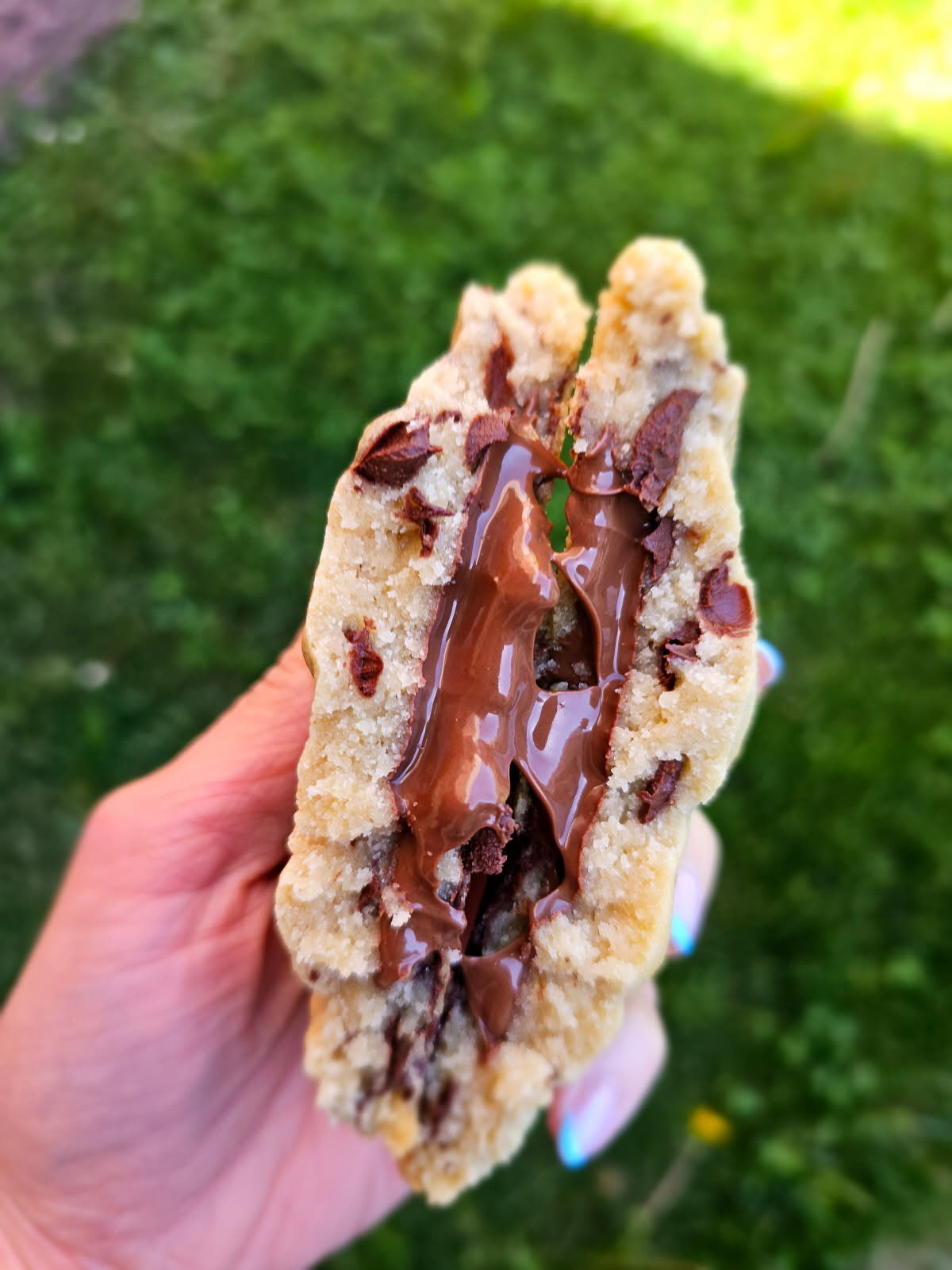 Go Nuts 5 Cookie Bundle