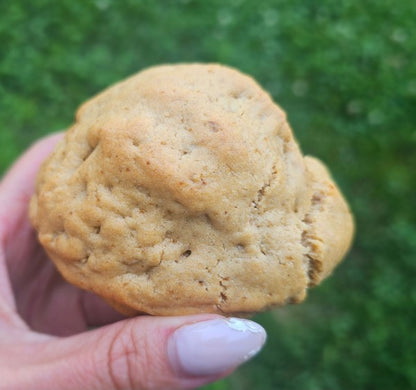 PB Oat Protein Cookie