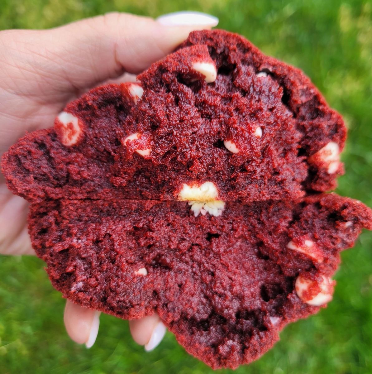 Chocolate 5 Cookie Bundle
